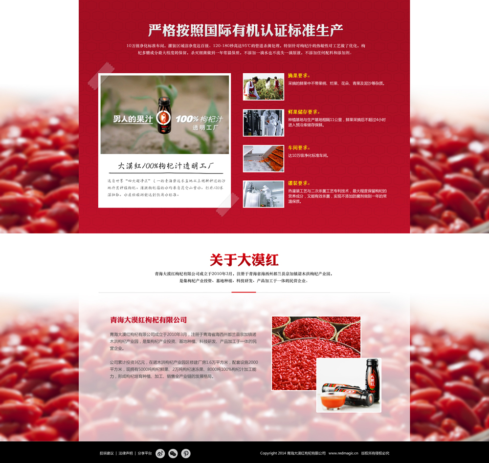 青海大漠紅枸杞網(wǎng)站建設(shè)項(xiàng)目